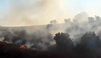 Diyarbakır'da Orman Yangını!