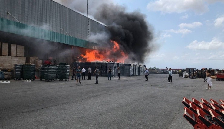 Kocaeli'de Zincir Market Deposunda Yangın!