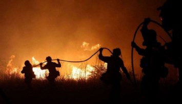 Yunanistan'daki Orman Yangınında 18 Ceset Bulundu!