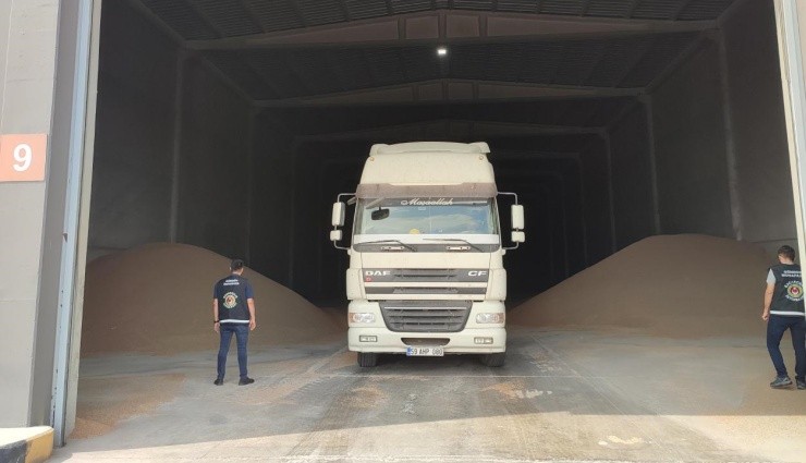 84 Ton Kaçak Ekmek Buğdayı Ele Geçirildi!