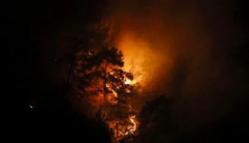 Antalya'da Orman Yangını!