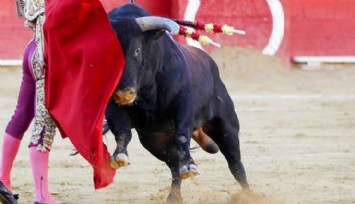 Boğa Güreşi İspanya'da Tarihe Karışabilir!