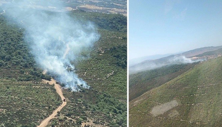 Foça'da Orman Yangını!