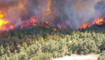 İzmir'de Orman Yangını!