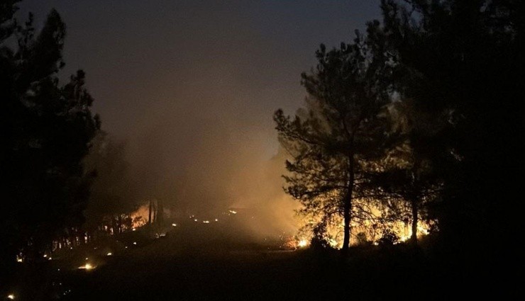 İzmir'de Orman Yangını!