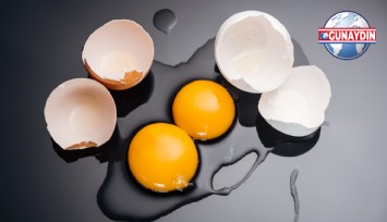 ÖZEL: Protein Kaynağı Yumurtaya Zam Üstüne Zam