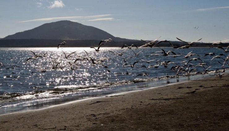 Rusya’nın Sahalin Bölgesinde Tsunami Alarmı!