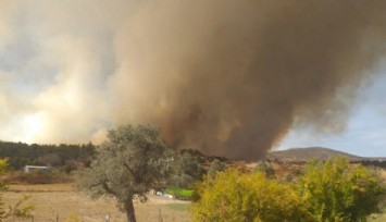 İzmir'de Çöplükte Çıkan Yangın Ormana Sıçradı!