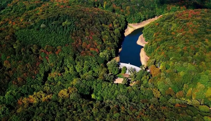 Belgrad Ormanı İmara mı Açılıyor?