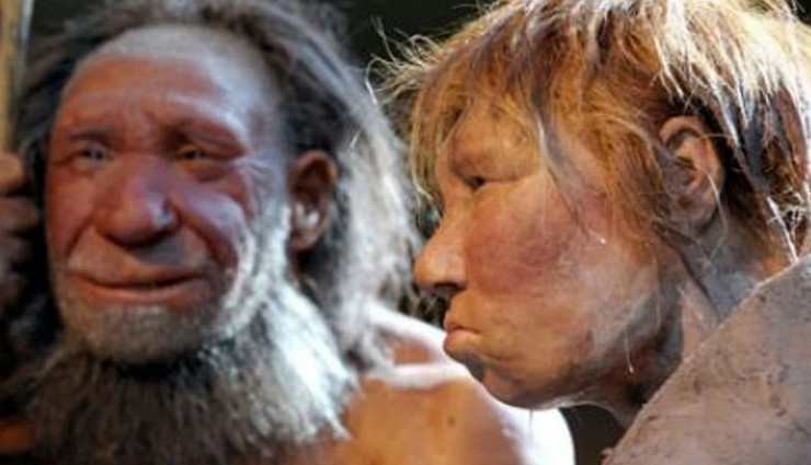 Neandertaller Olmasaydı İnsanlık Yok Olur muydu?