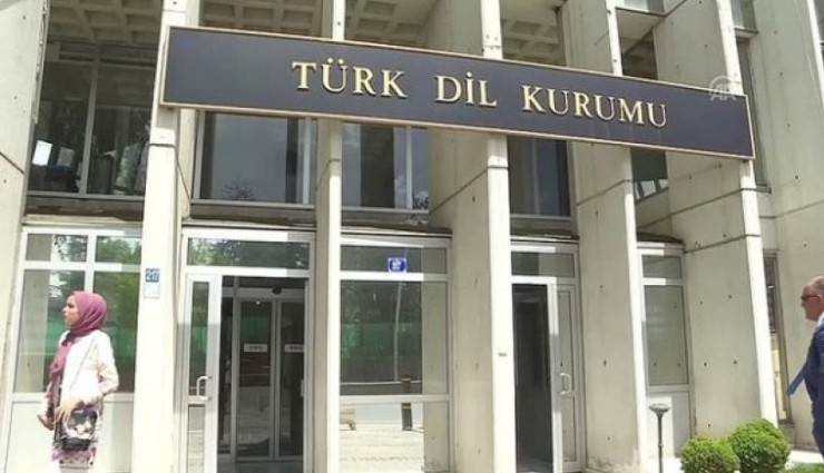 TDK Anketi: Yozlaşma mı Yabancılaşma mı?