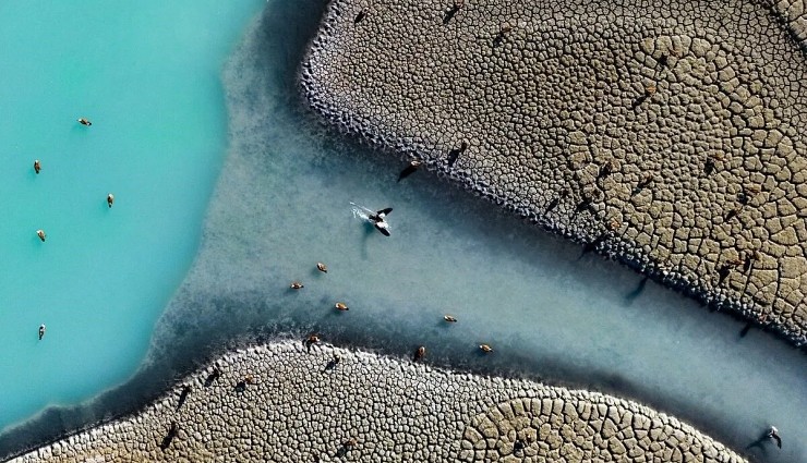 Türkiye’nin Fotoğrafı Dünyayı Salladı!