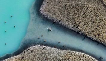 Türkiye’nin Fotoğrafı Dünyayı Salladı!