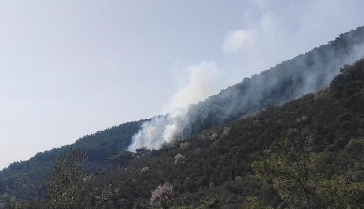 Kazdağları’nda Orman Yangını!