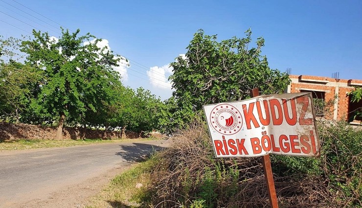 Hatay'da 2 Mahalle Karantinaya Alındı!