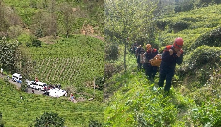 Rize'de İki Kadın Ağaca Çarpan Teleferikten Düştü!