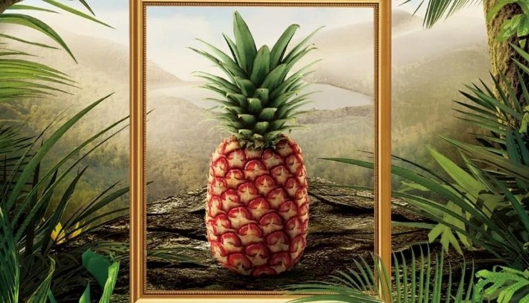 400 Dolarlık Ananas Yok Satıyor!