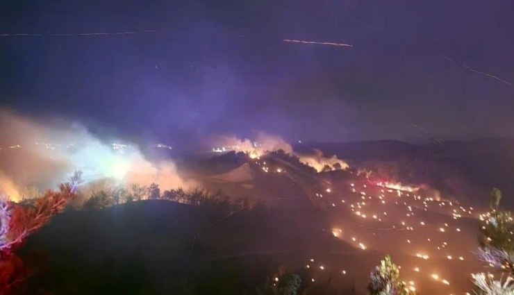 Adana'da Orman Yangını: Ekipler Müdahale Ediyor!