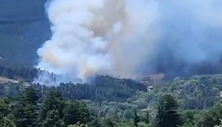 Bursa'da Orman Yangını!