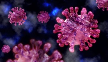 DSÖ Açıkladı: O Virüsten Kaynaklı İlk Ölüm Gerçekleşti!
