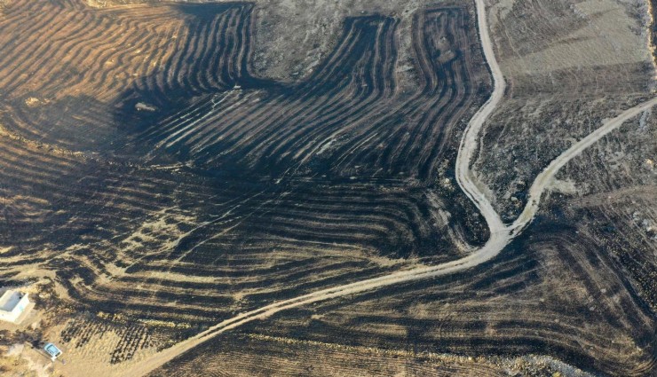 Diyarbakır ve Mardin Arasındaki Yangında Ölü Sayısı Artıyor!