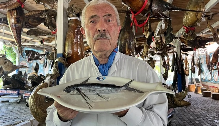 Marmara Denizi Açıklarında Uçan Balık Yakalandı!