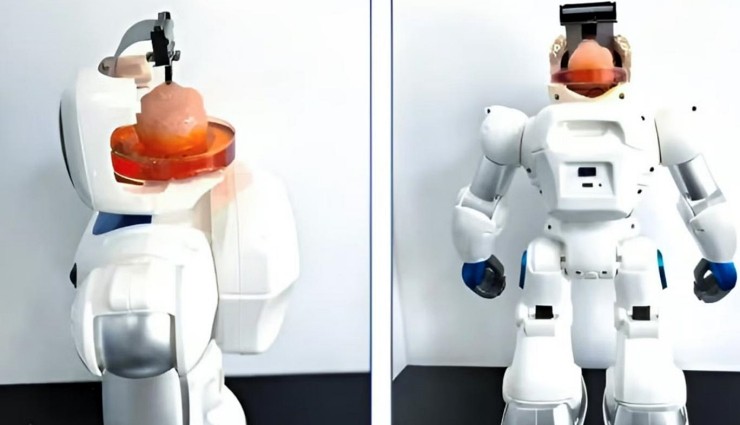 Beyin Dokulu Robot Kollarını Kullanmayı Öğrendi!