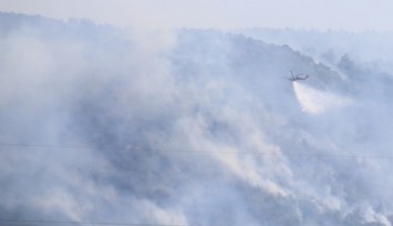 Bodrum'da Orman Yangını!