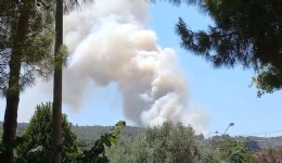 İzmir'de Orman Yangını!