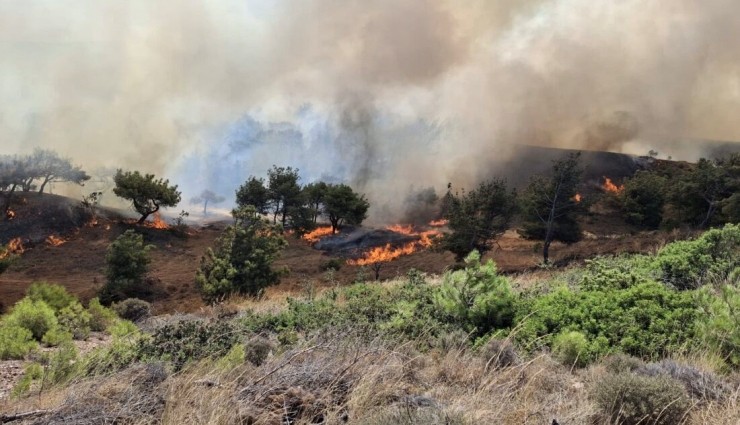 Çanakkale Bozcaada’da Yangın!