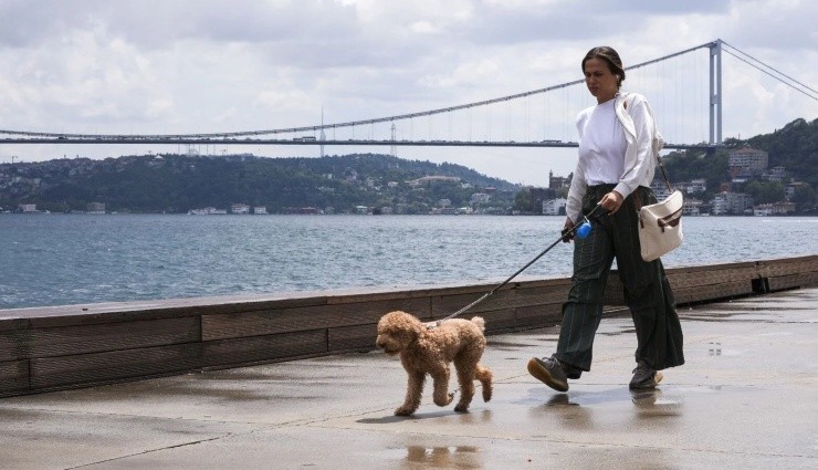 Meteorolojiden Uyarı: Daha da Düşecek, Yağışlara Dikkat!