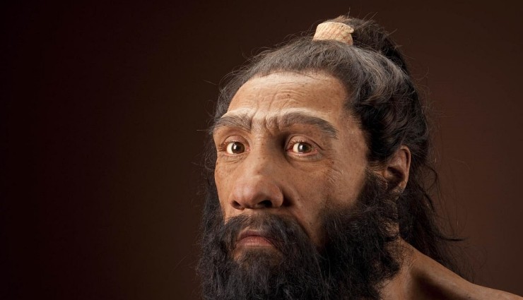 Neandertallerin Sonunu Ne Getirdi?