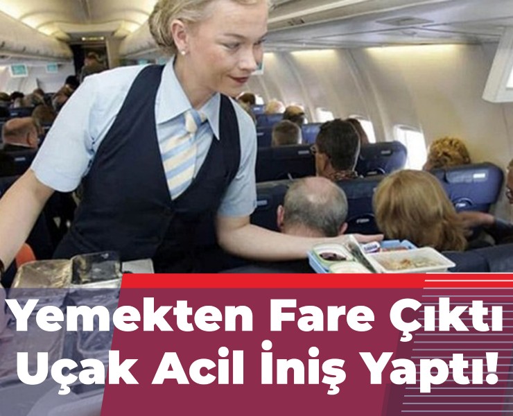 Yemekten Çıkan Fare, Uçağa Acil İniş Yaptırdı!