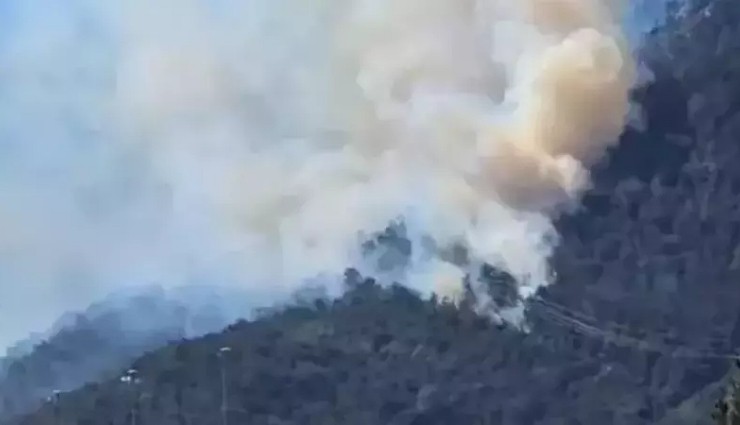 Antalya'da Ormanlık Alanda Yangın!