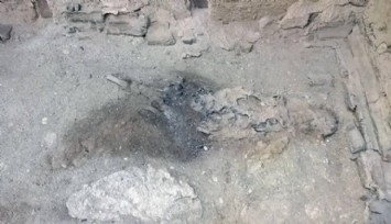 Pompeii Felaketi: Beyni Cam Haline Getiren Patlama!..