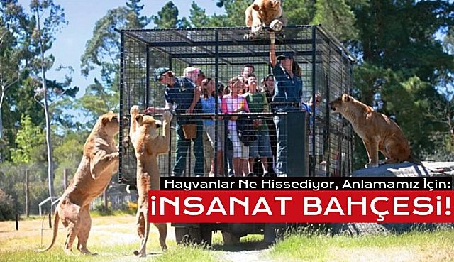 Hayvanların Serbest, İnsanların Kafeste olduğu hayvanat bahçesi