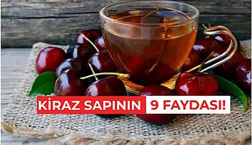 Kiraz Sapının 9 Muhteşem Faydası